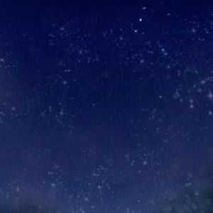 Meet your Posher, Shelly